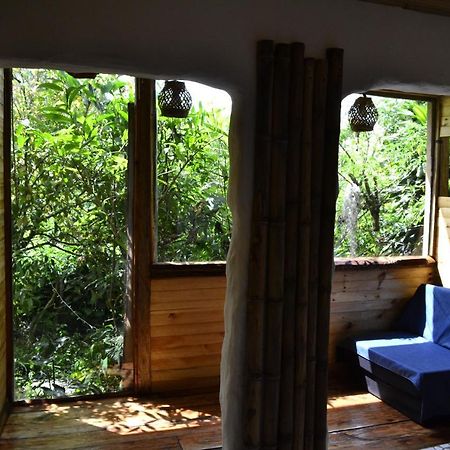 Habitacion Las Bromelias, Pijao, Finca Flora Del Rio Exterior foto