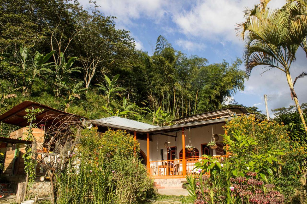 Habitacion Las Bromelias, Pijao, Finca Flora Del Rio Exterior foto
